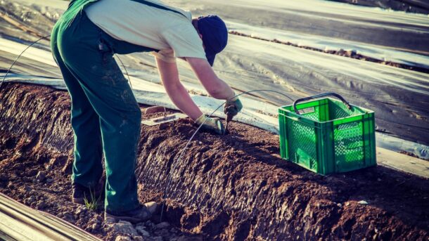 Praca za granicą bez doświadczenia